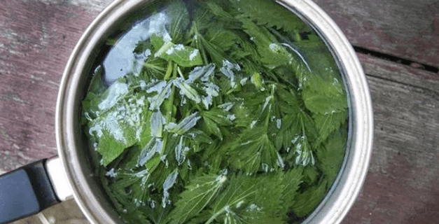 Treatment for hair loss with folk remedies